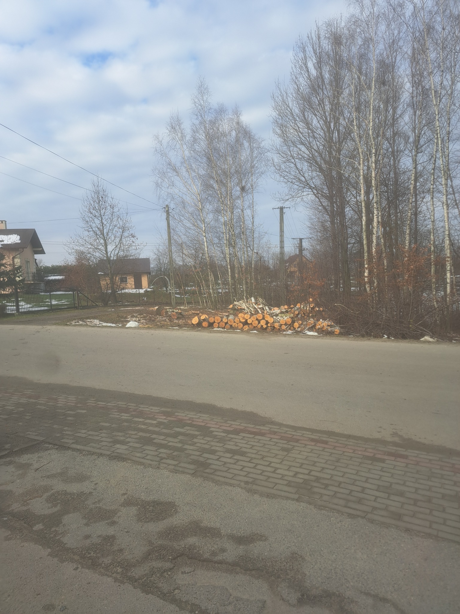 Stos pociętych pni drzew leżący przy drodze, obok drzew bez liści i zabudowań. Widoczne ślady śniegu. Pochmurne niebo w tle.