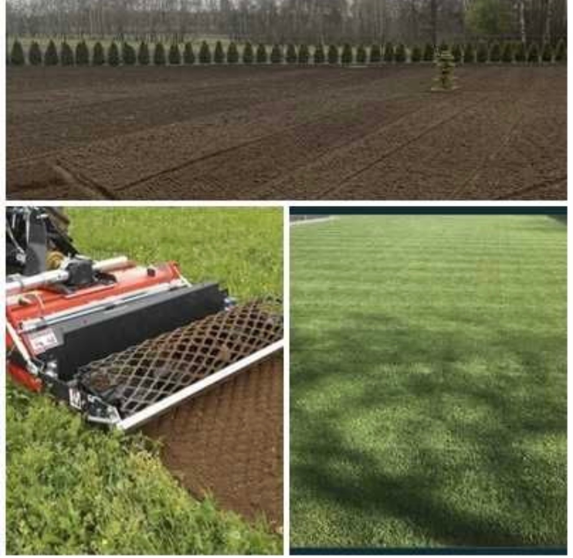 Kompozycja trzech zdjęć: przygotowany teren pod trawnik z rzędami drzew w tle, maszyna do wyrównywania gruntu oraz idealnie przystrzyżony trawnik z widocznymi pasami.