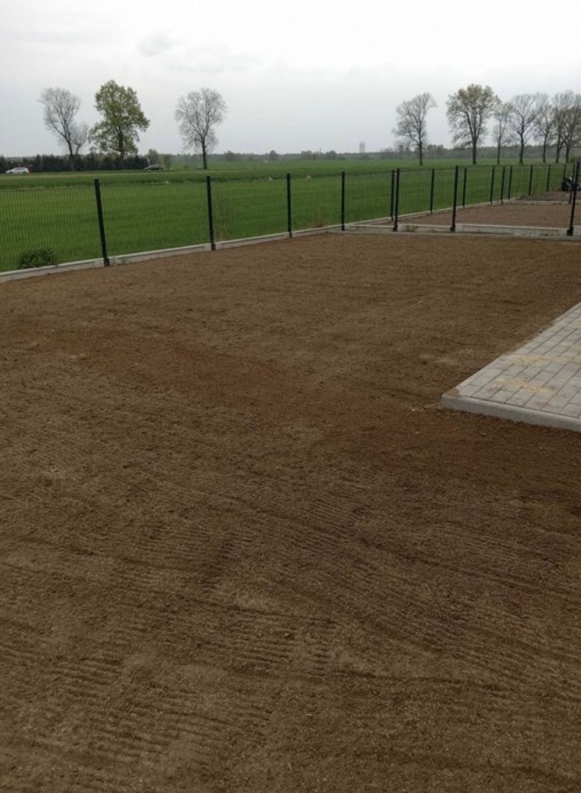 Przygotowany teren pod trawnik z widocznymi śladami po bronowaniu, obrzeżami z kostki i siatką ogrodzeniową w tle.