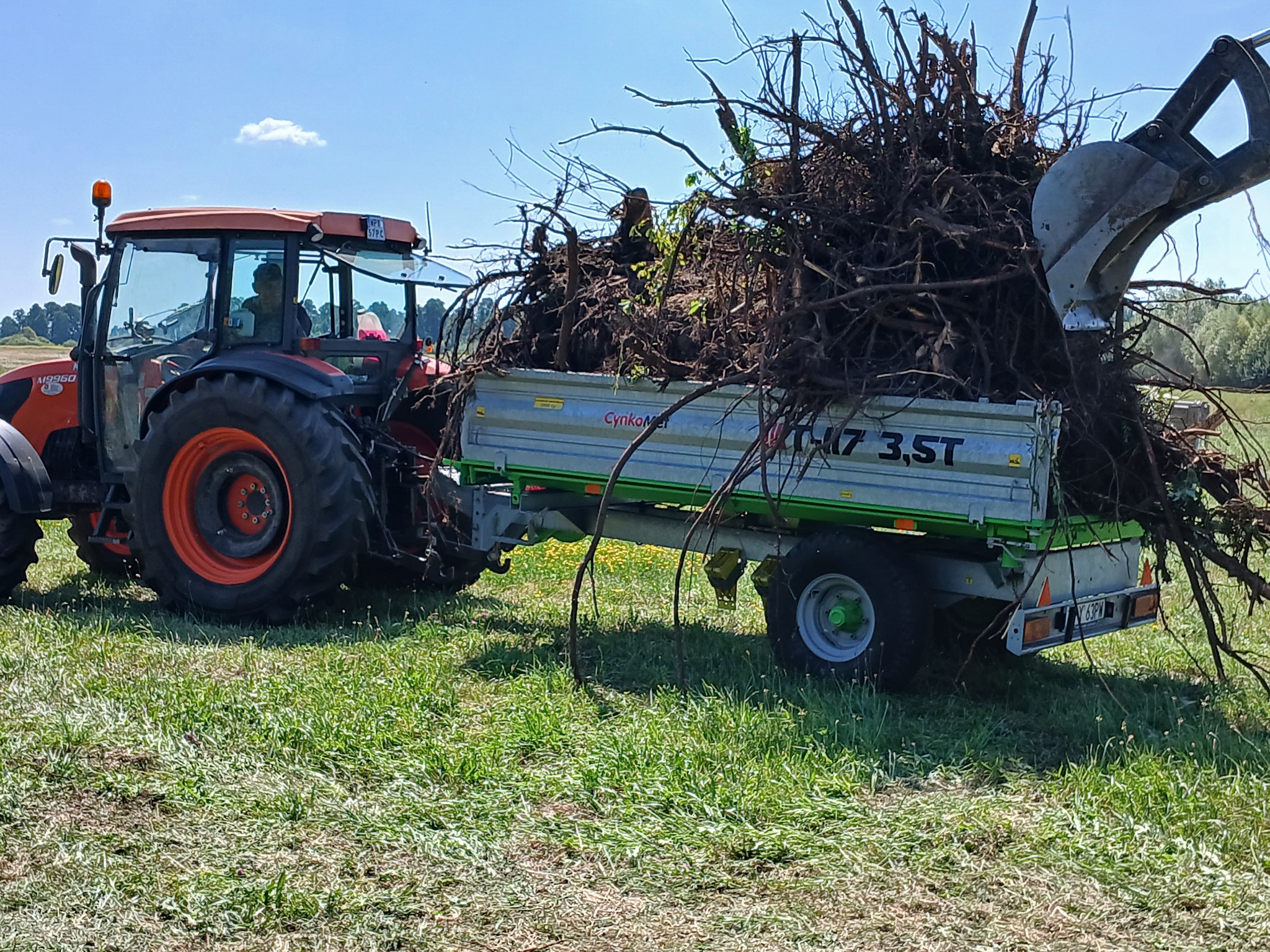 Pomarańczowy traktor z przyczepą wypełnioną korzeniami drzew, łyżka koparki nad przyczepą, trawa i drzewa w tle, słoneczny dzień.