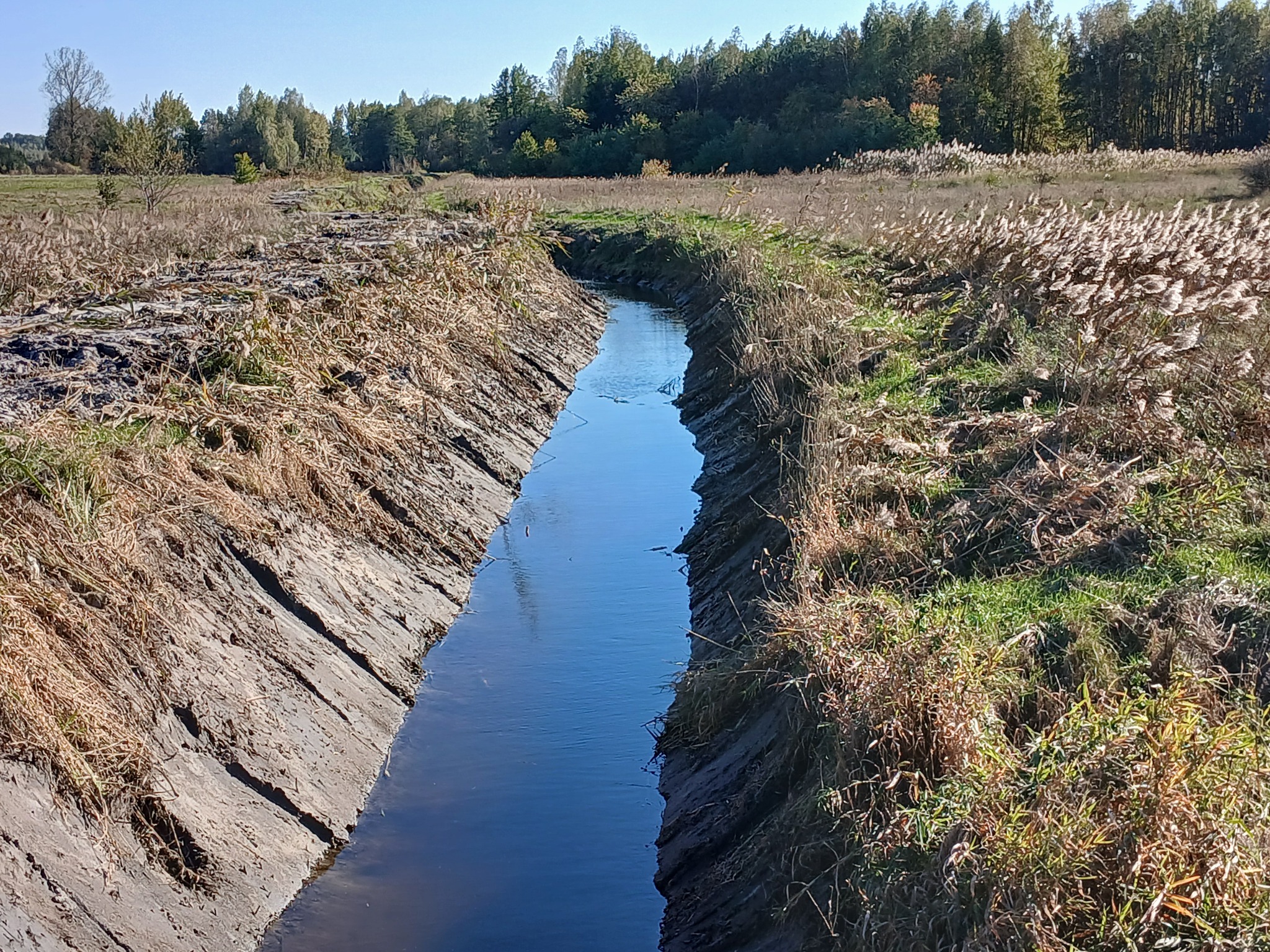 Prosty, wykopany kanał wypełniony wodą, otoczony ziemią z wyraźnymi śladami po maszynach, brzeg porośnięty suchą trawą i roślinnością, w tle drzewa i błękitne niebo.
