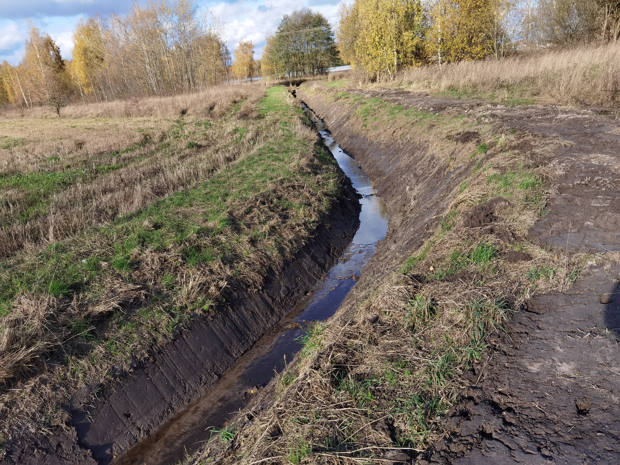 Świeżo wykopany rów melioracyjny wypełniony wodą, otoczony polem z resztkami suchej trawy i drzewami w tle.