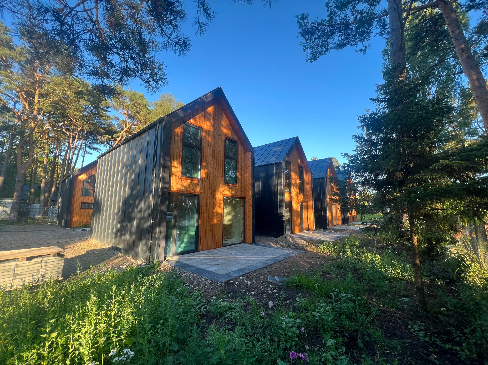 Szereg nowoczesnych domów modułowych z drewnianą elewacją i czarnymi panelami, otoczonych zielenią i drzewami w słoneczny dzień. Widok z poziomu gruntu.