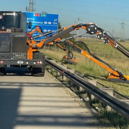 Wycinka drzew Domasław 4