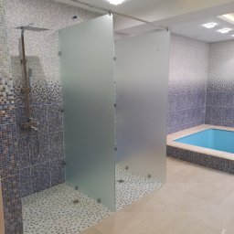 Pavlo Chernenko - Nowoczesna łazienka z kabiną prysznicową oddzieloną matowymi szklanymi panelami, mozaikowa ściana i podłoga w strefie prysznica, obok mały basen wykończony podobną mozaiką.