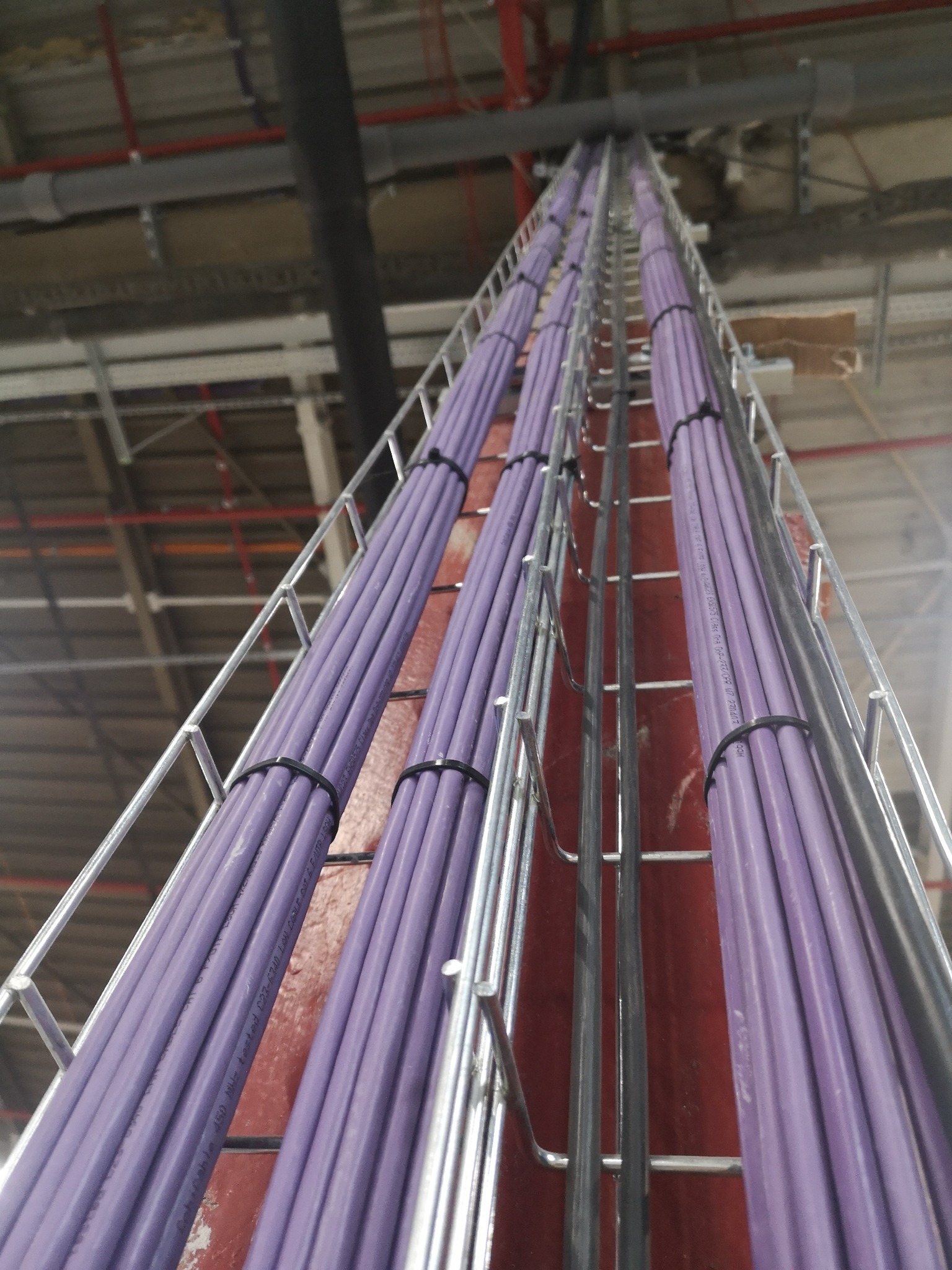 Rzuty kabli w kolorze liliowym ułożone w metalowej korycie kablowej pod sufitem, zabezpieczone czarnymi opaskami zaciskowymi, widoczne rury instalacyjne w tle.