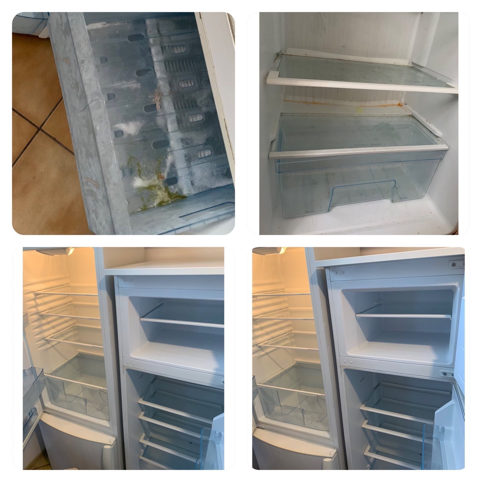 Cztery ujęcia wnętrza brudnej i pustej lodówki, z widocznymi plamami, resztkami jedzenia i pleśnią w szufladach zamrażalnika oraz na półkach.