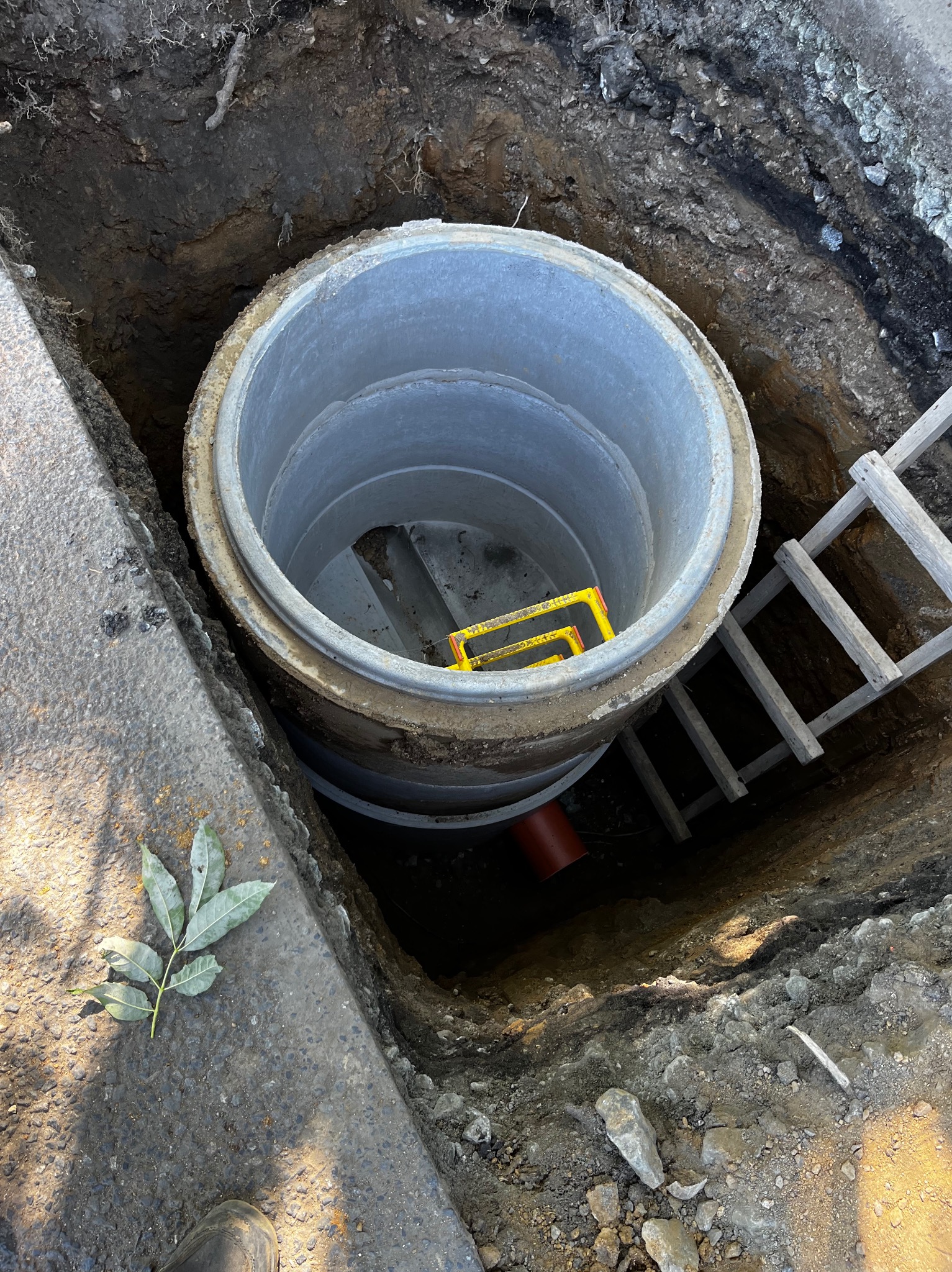 Betonowa studzienka kanalizacyjna w wykopie, widoczna drabina drewniana i poziomica, obok liść na asfalcie.