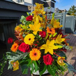 Rośliny i podłoża Częstochowa 2