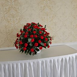 Rośliny i podłoża Częstochowa 4