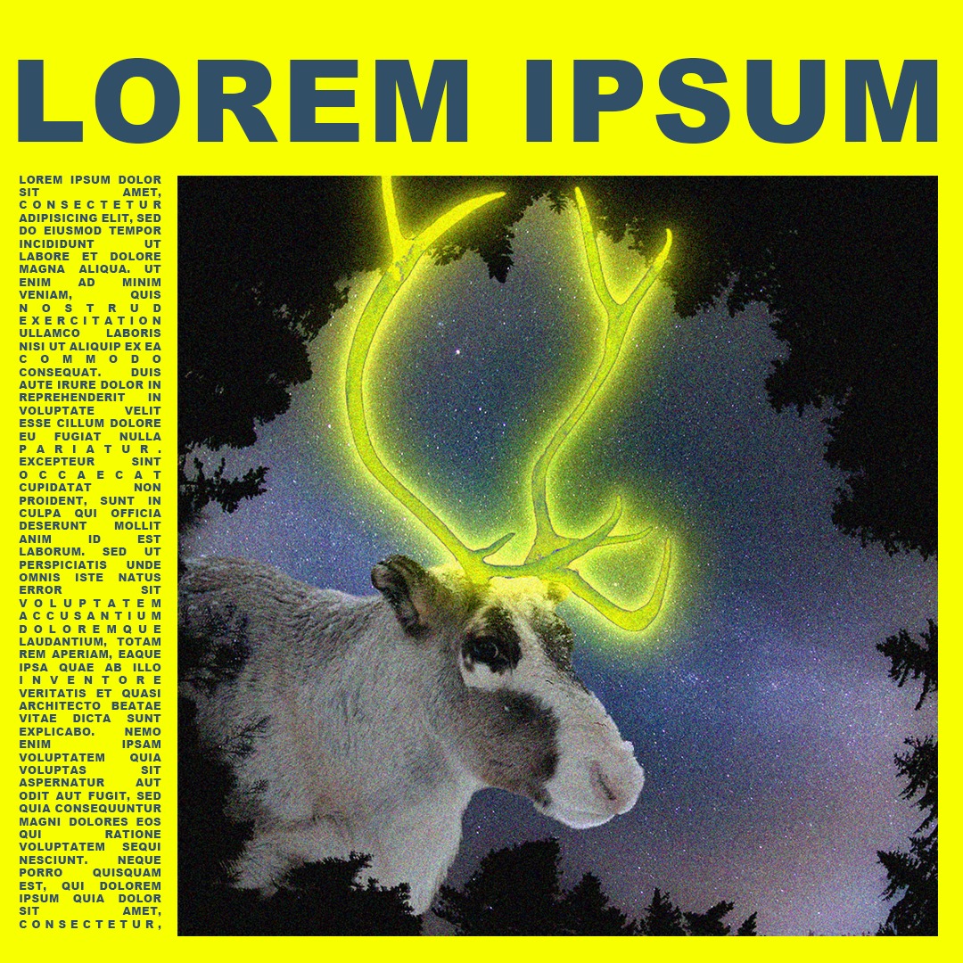 Ilustracja renifera z świecącymi, neonowymi rogami na tle nocnego nieba i sylwetek drzew, otoczonego tekstem 'Lorem Ipsum' na żółtym tle.