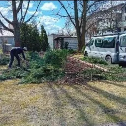 Mężczyzna w ciemnej odzieży zbiera gałęzie po wycince drzewa iglastego, obok zaparkowany biały bus z otwartymi drzwiami bagażnika, w tle budynek mieszkalny i drzewa liściaste.