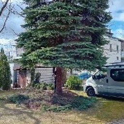 Przycinanie drzew Garwolin 3