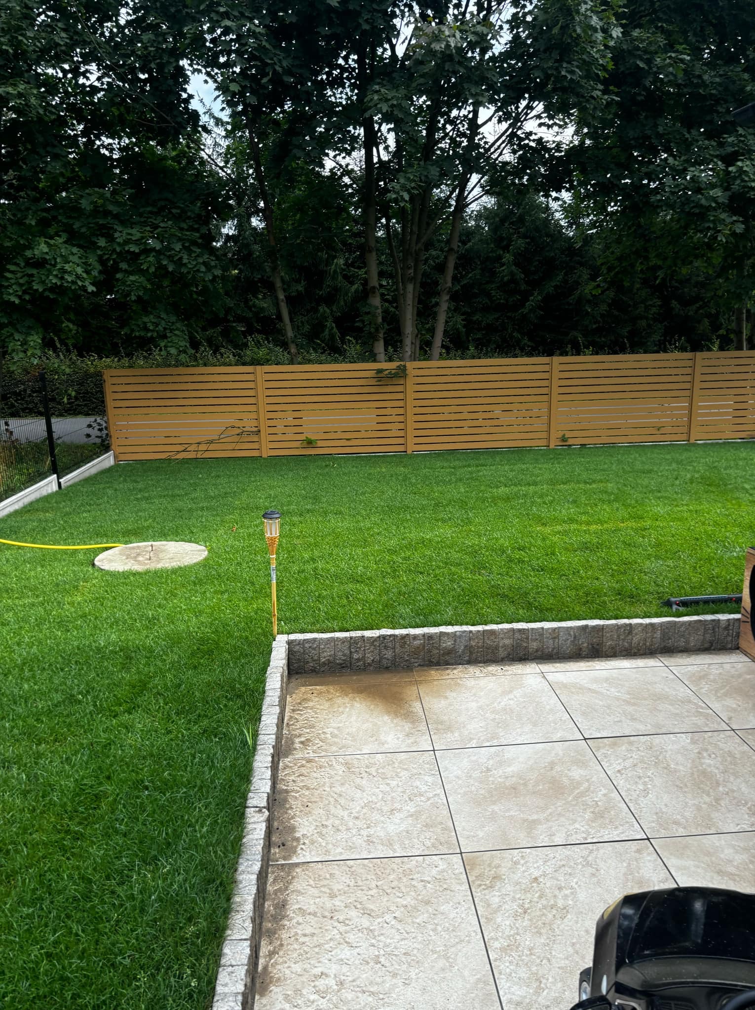 Świeżo założony trawnik z rolki z widocznym żółtym wężem do nawadniania, płytami tarasowymi i drewnianym ogrodzeniem w tle.