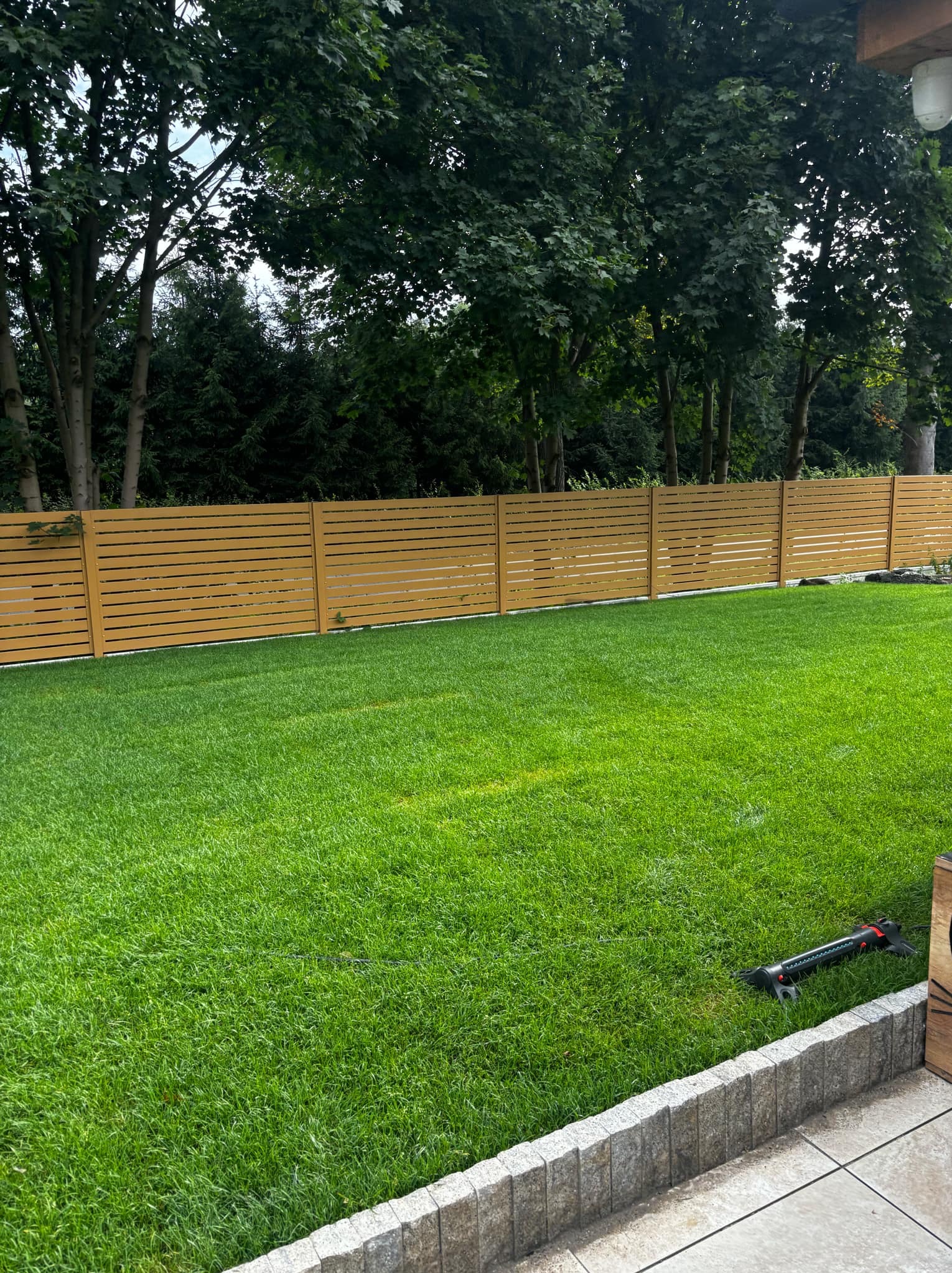 Zadbany trawnik z rolki w Mikołowie, widoczny system nawadniania i nowoczesne ogrodzenie.