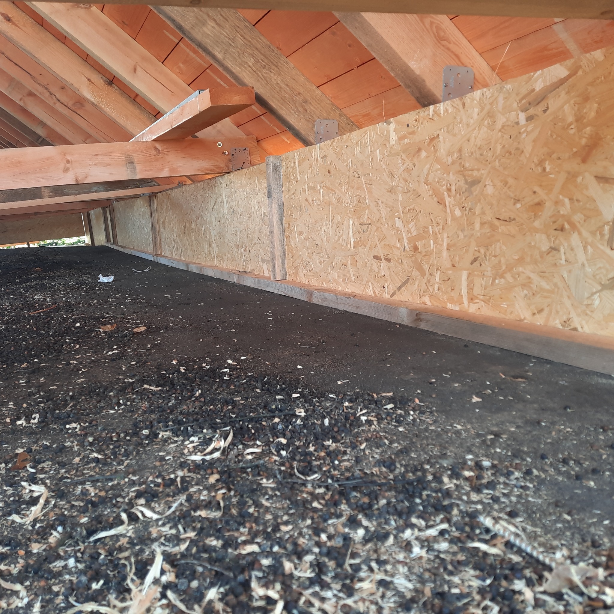 Wnętrze poddasza z drewnianą konstrukcją dachu, deskami OSB i czarnym granulatem rozsypanym na podłożu.