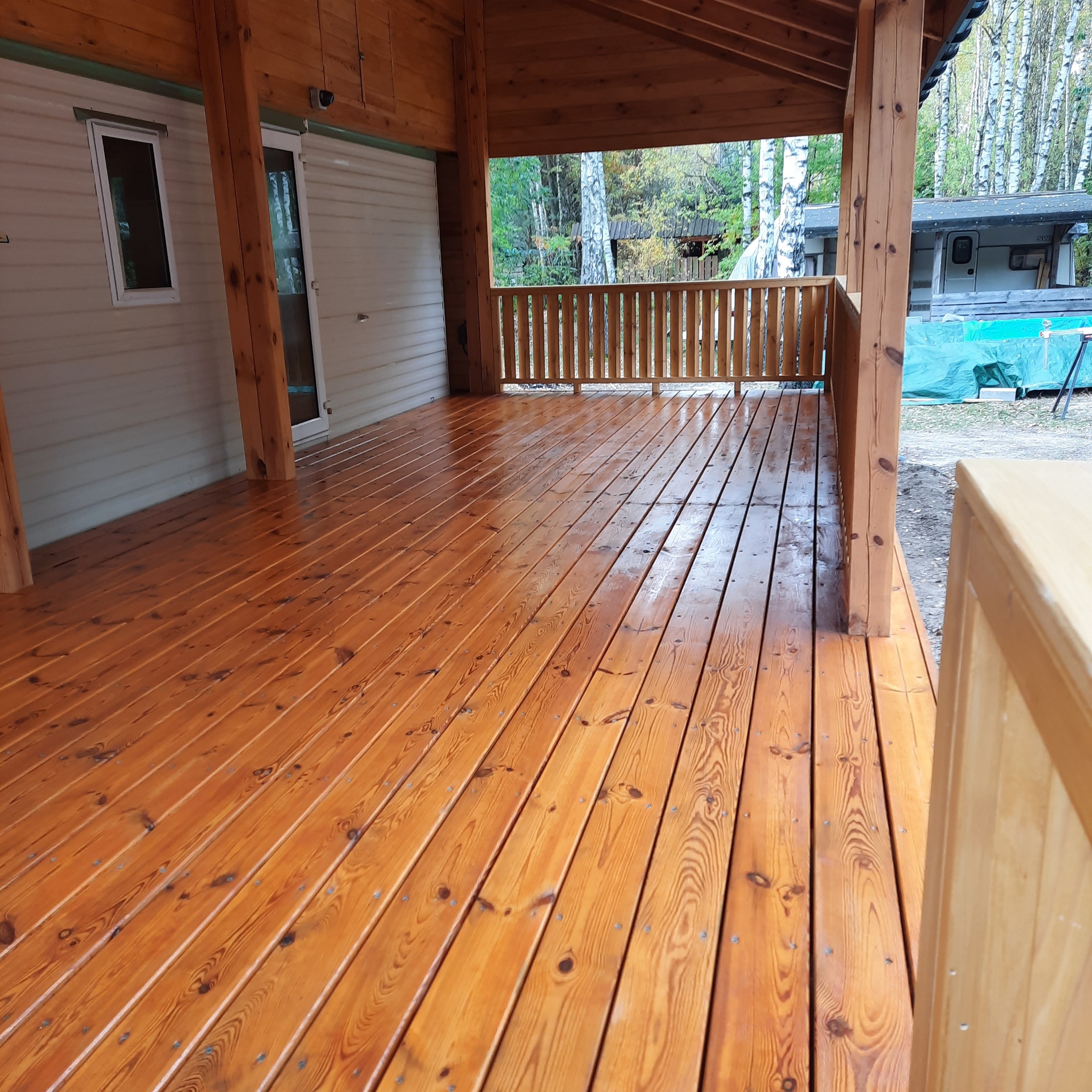 Świeżo polakierowany drewniany taras z widocznymi słojami drewna, zadaszony, z balustradą, w tle brzozy i przyczepa kempingowa.