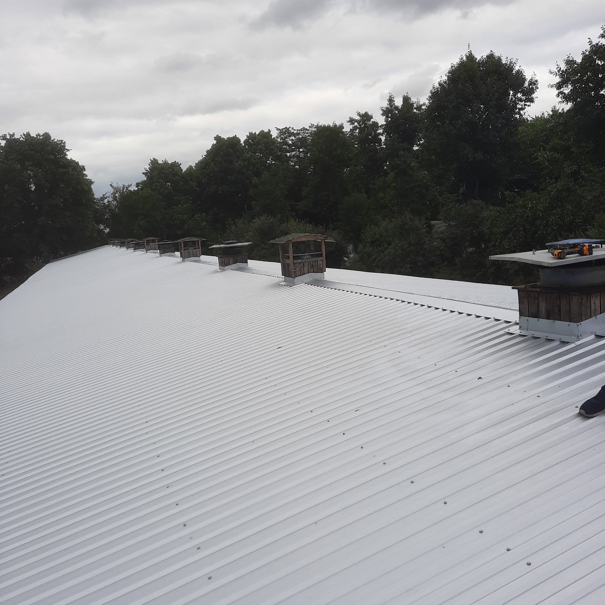 Świeżo pomalowany, biały, blaszany dach z drewnianymi kominami wentylacyjnymi na tle pochmurnego nieba i drzew.