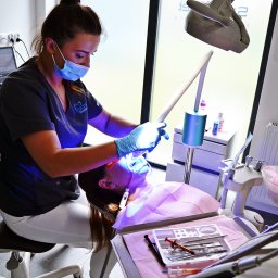 Stomatolog Białystok 2