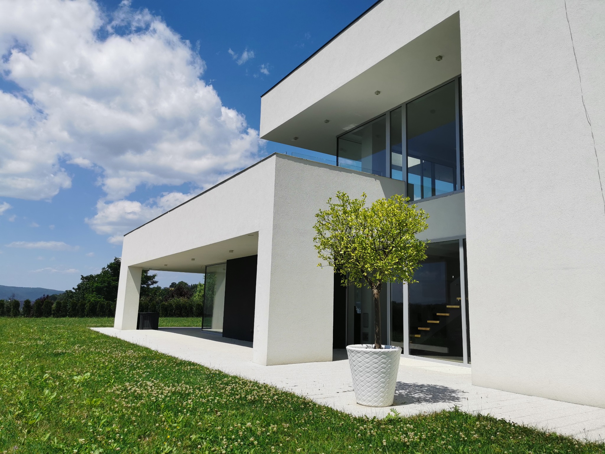 Nowoczesna bryła budynku z dużymi przeszkleniami, biała elewacja, drzewko w donicy na tle trawnika. Minimalistyczny design, błękitne niebo z chmurami.