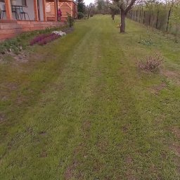 Trawa z rolki Lublin 3