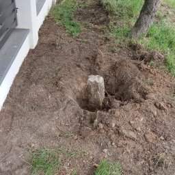 GardenComplex - Przygotowane miejsce pod posadzenie drzewa, z widocznym wykopanym dołem i ziemią wokół, wzdłuż ogrodzenia i drzew iglastych.