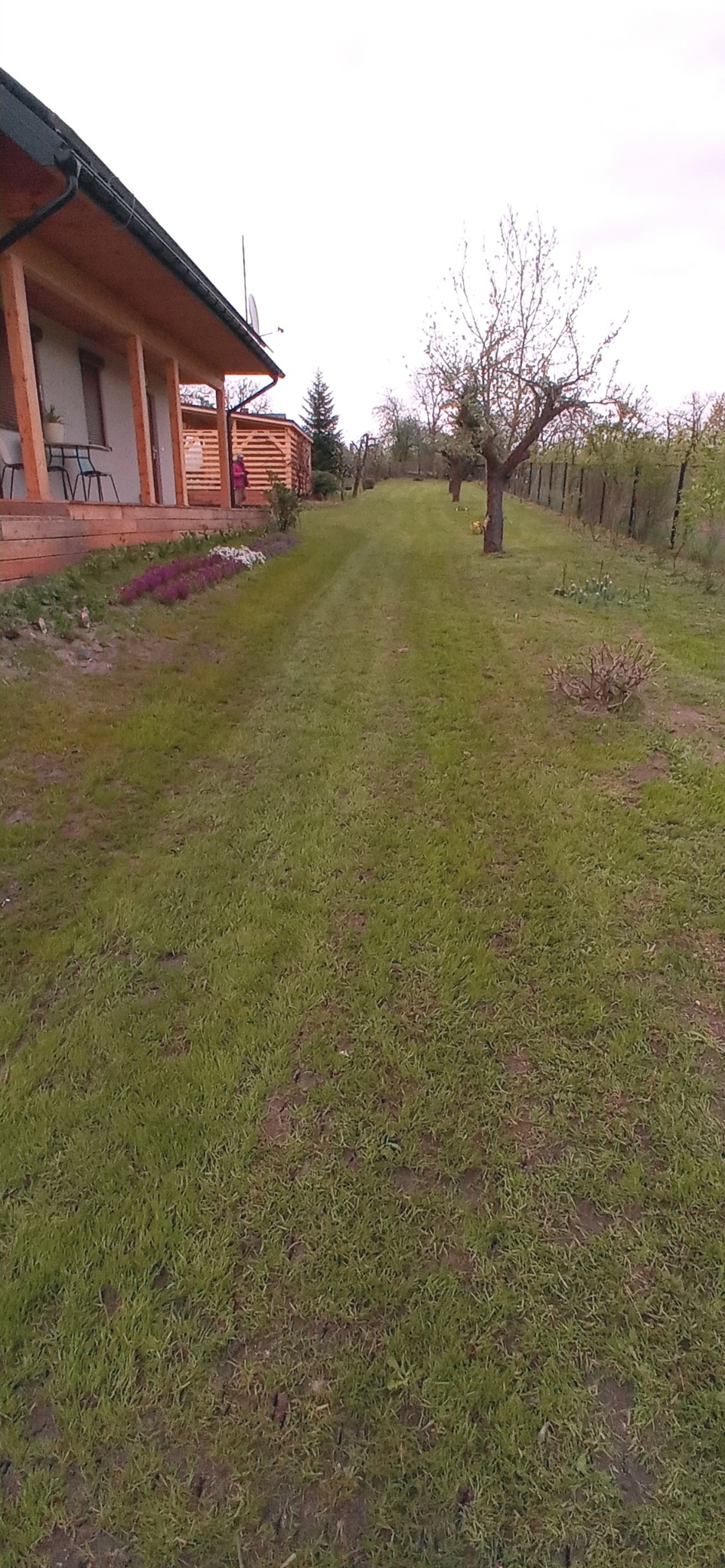 Długa, zielona trawa prowadząca do ogrodu z drzewami owocowymi i nowo posadzoną rabatą kwiatową przy drewnianym domu z werandą.