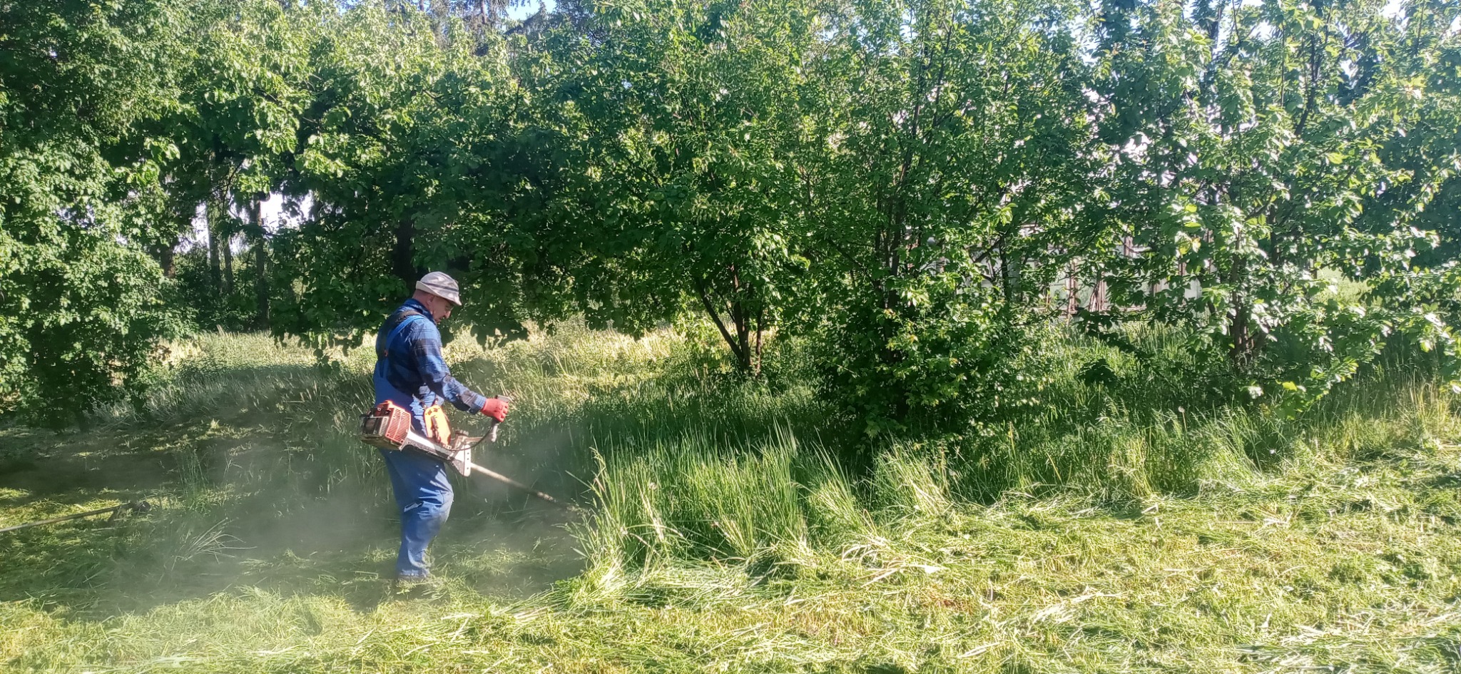 Mężczyzna w kombinezonie i kapeluszu, z założonymi czerwonymi rękawicami, przycina wysoką trawę za pomocą podkaszarki spalinowej, w tle widoczne drzewa.