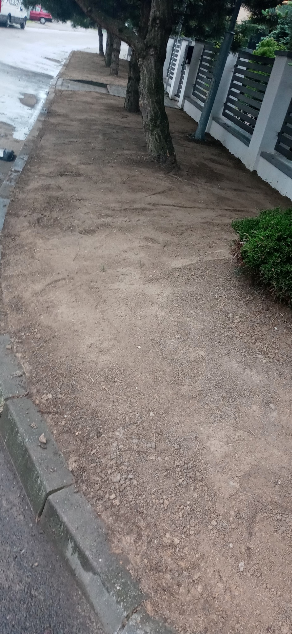 Przygotowany teren pod trawnik, widoczne ślady po grabieniu, obok chodnik i rząd drzew wzdłuż ogrodzenia.