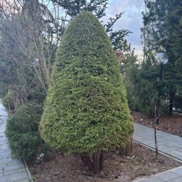 Koszenie trawy Garwolin 2