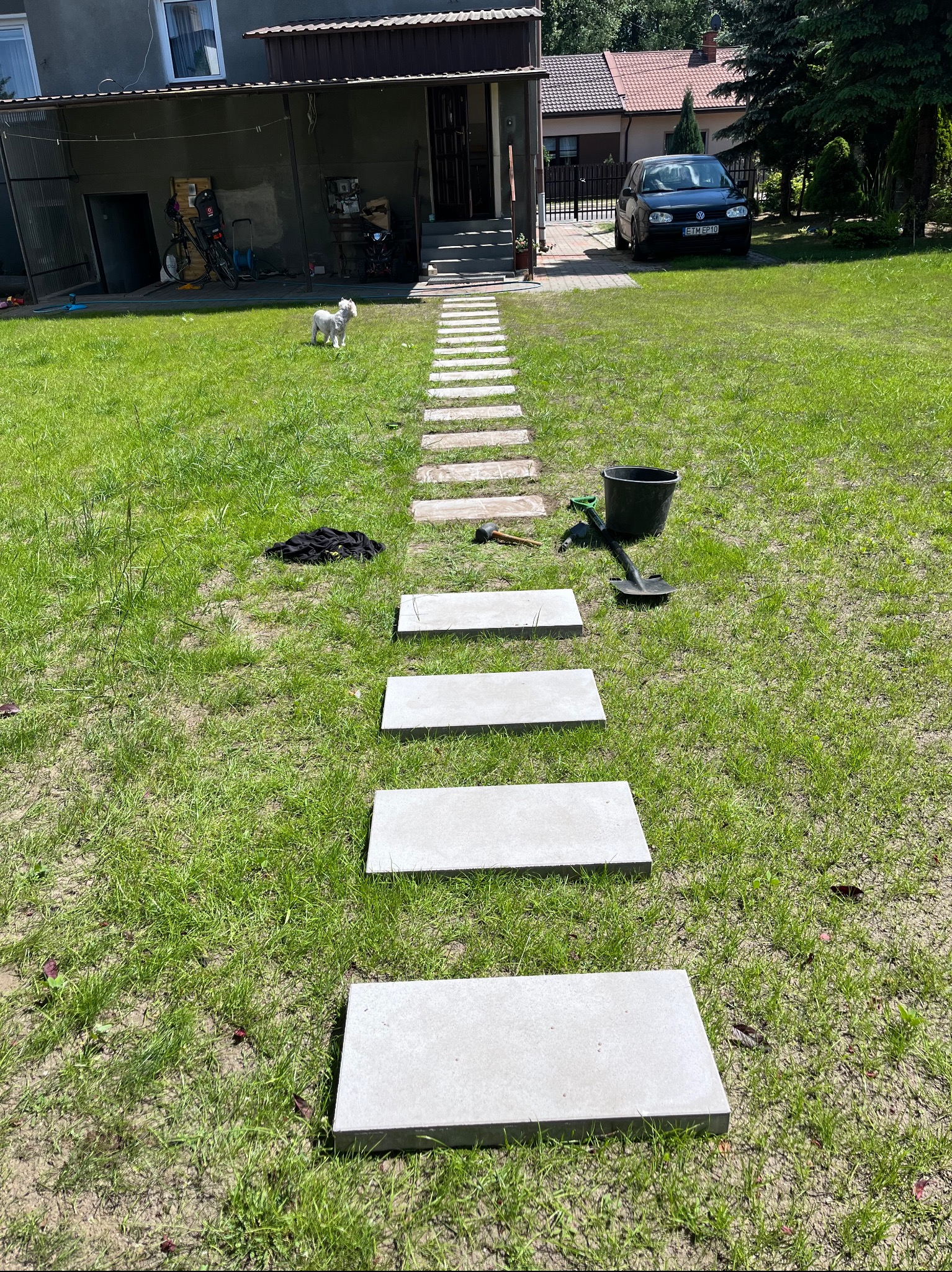 Ścieżka z betonowych płyt ułożona w trawie, narzędzia ogrodnicze obok, mały biały pies w tle, dom i samochód w oddali.
