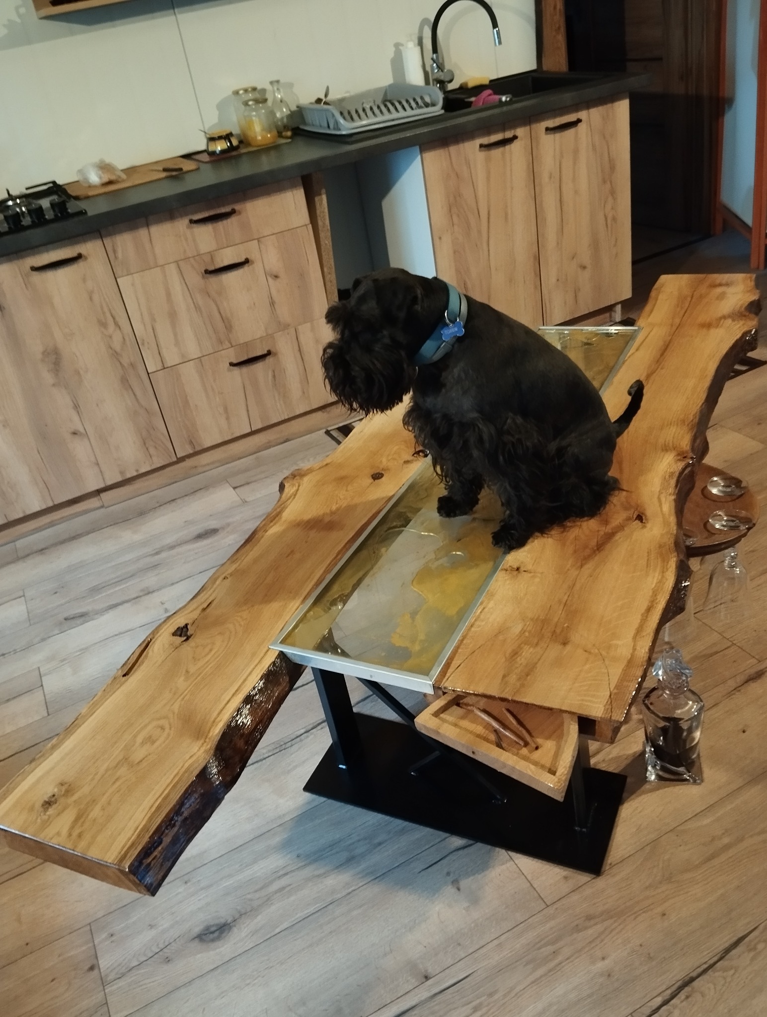 Unikatowy stół z blatem z litego drewna i żywicy epoksydowej, na którym siedzi czarny sznaucer miniaturowy. W tle widoczna zabudowa kuchenna.