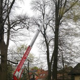 Czyszczenie rynien Tuszynek Majoracki 2