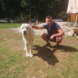 Firma budowlano-wykonczeniowa Gregor Grzegorz Małachowski - Sufit Napinany Pruszcz Gdański