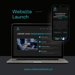 Tworzenie stron internetowych Dąbrowa 4