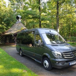 Wynajem busów i autokarów , bus Mercedes Sprinter 20 osobowy