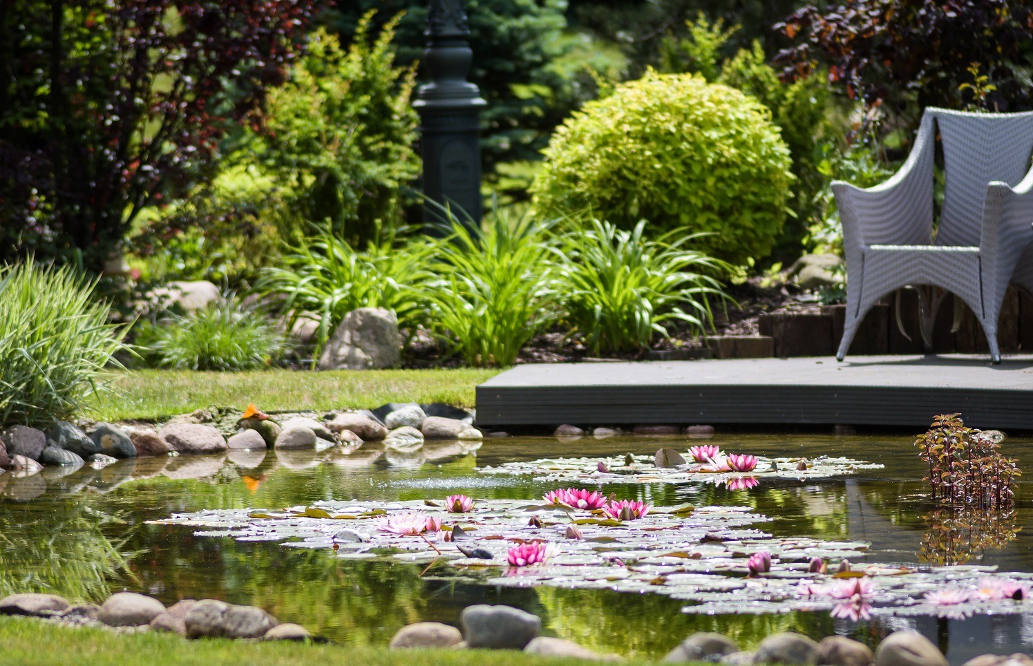 ogród z oczkiem wodnym Gdańsk