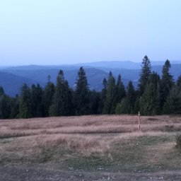 Expander Advisors - Sprzedaż Nieruchomości Bielsko-Biała