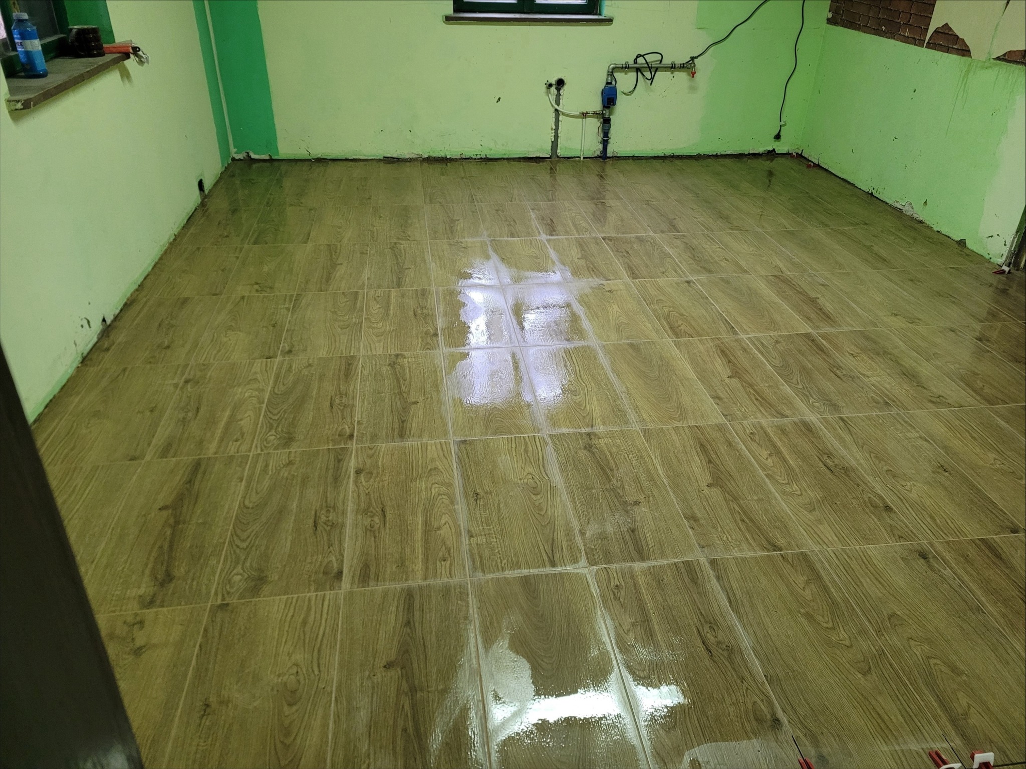 Świeżo ułożone, błyszczące płytki podłogowe imitujące drewno, w pomieszczeniu z zielonymi ścianami i widoczną instalacją wodną przy oknie.