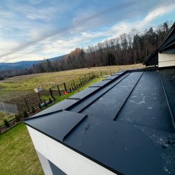 Domy szkieletowe Sidzina 2