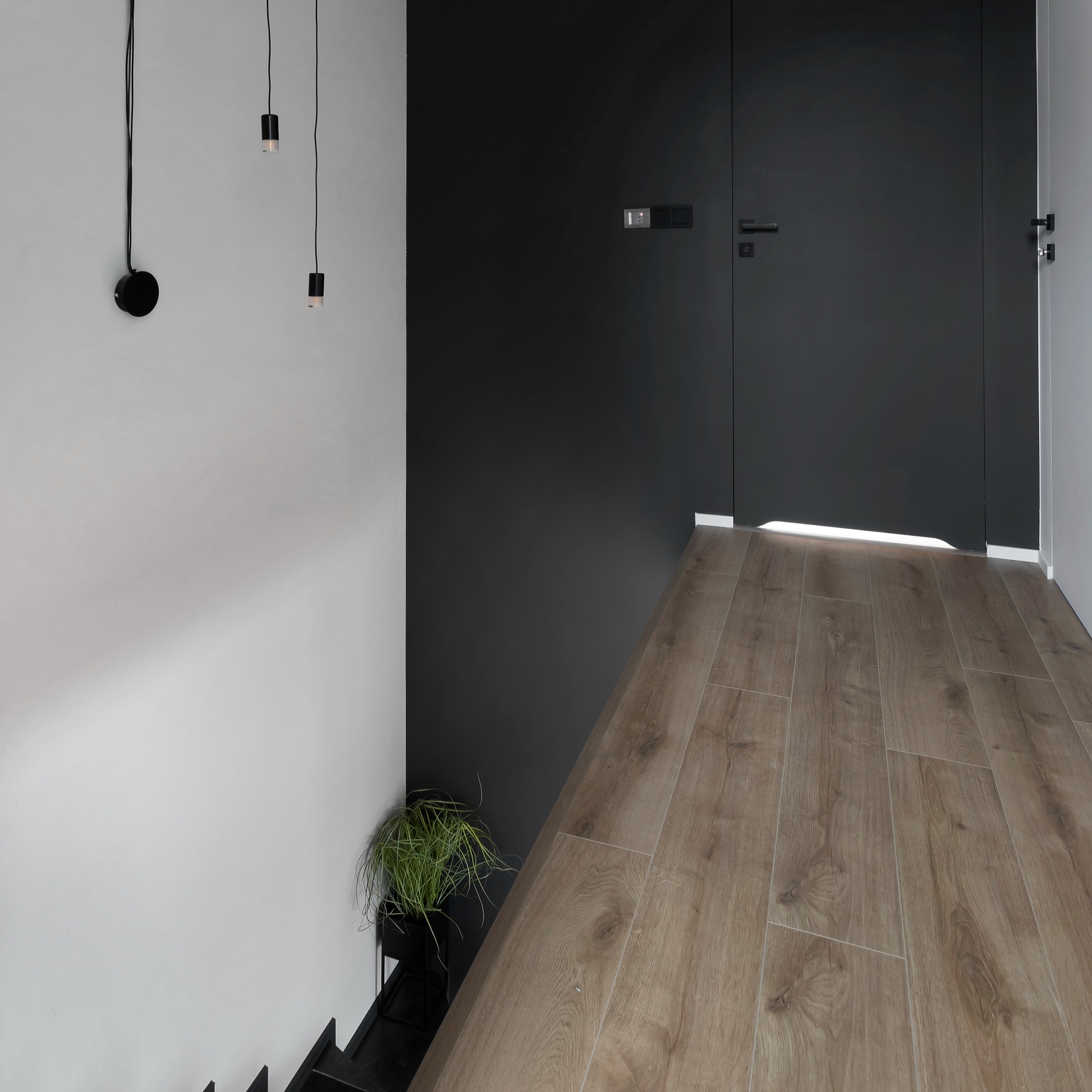 Nowoczesne wnętrze: połączenie białej ściany z trzema minimalistycznymi lampami, czarnej ściany z drzwiami i drewnopodobnej podłogi z rośliną w czarnej doniczce