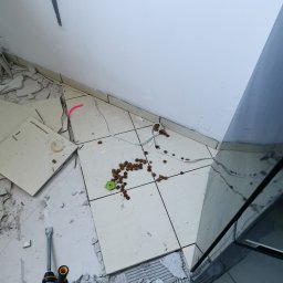 Rud bud - skuwanie płytek , wylewanie masy samopoziomującej i położenie paneli winylowych