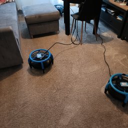 Suszenie wykładziny dywanowej po praniu.