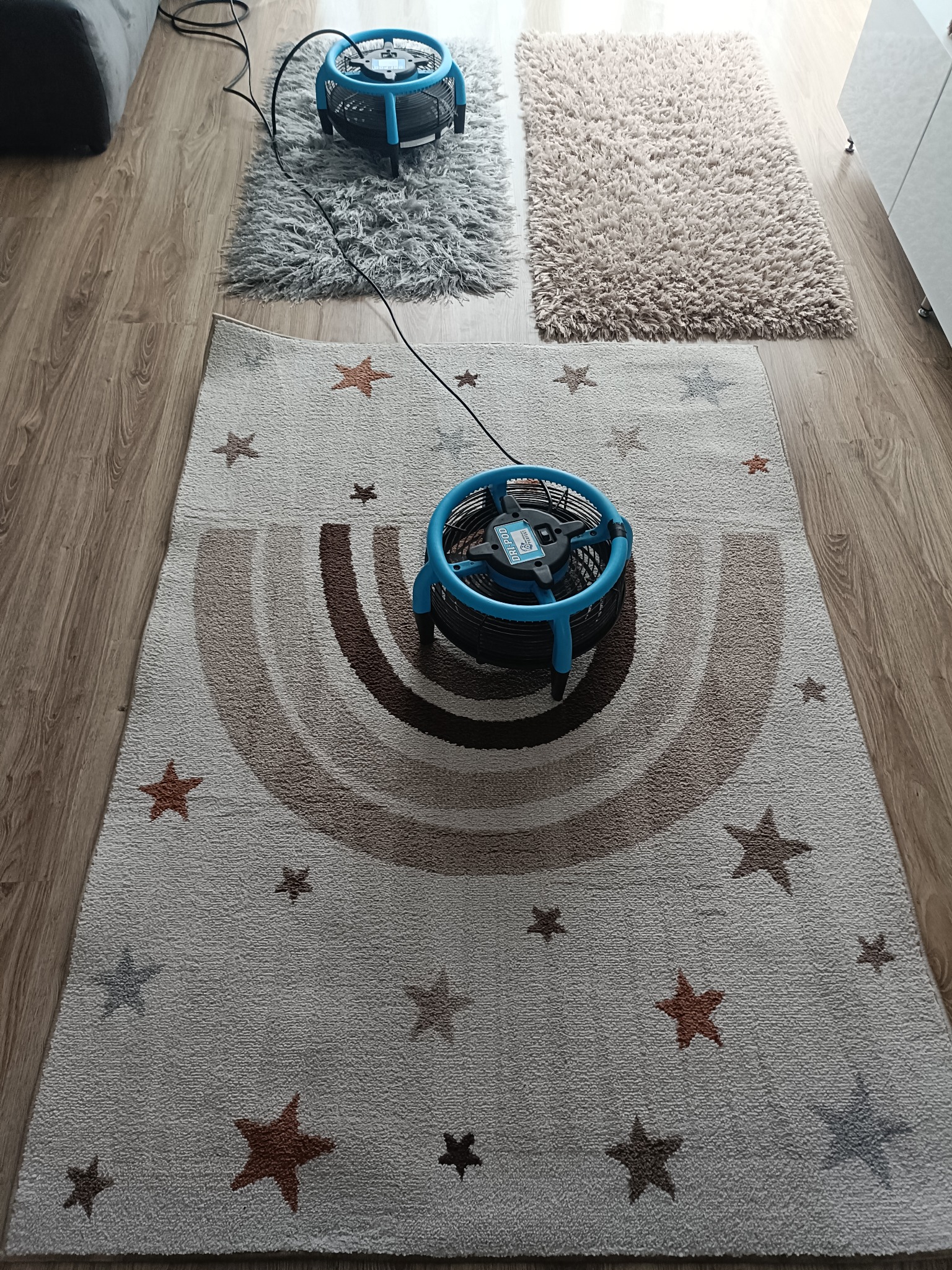 Dwa dywany suszone za pomocą wentylatorów podłogowych po zabiegu czyszczenia. Jeden dywan z motywem gwiazd i tęczy, drugi shaggy.