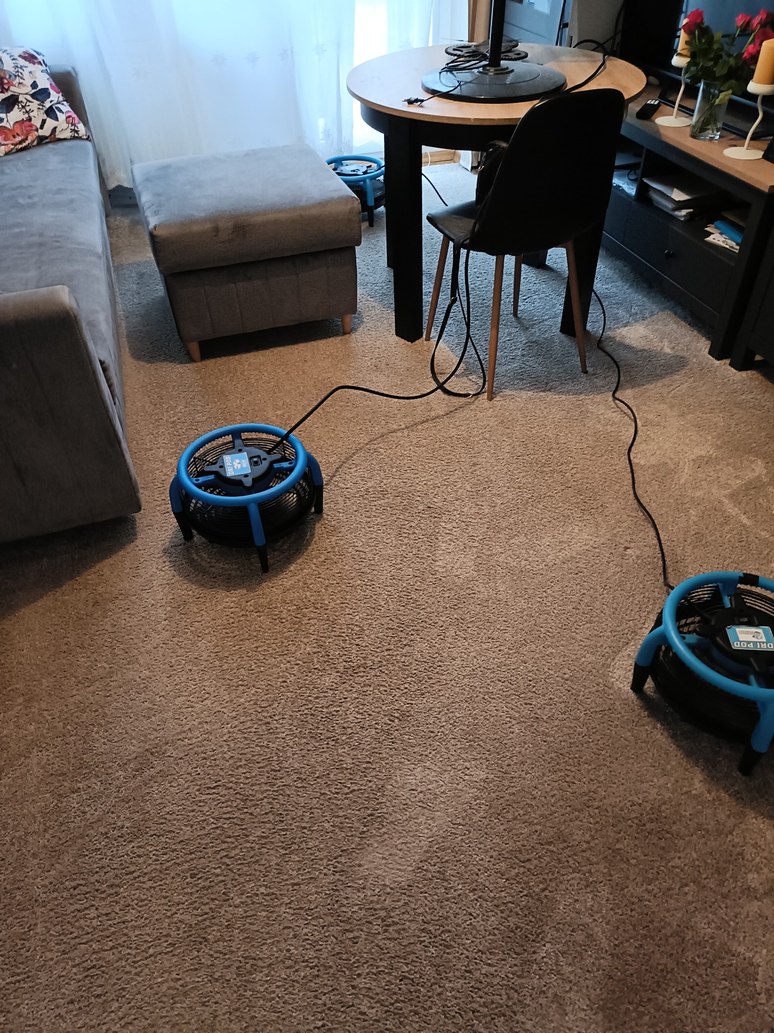 Suszenie wykładziny dywanowej po praniu.