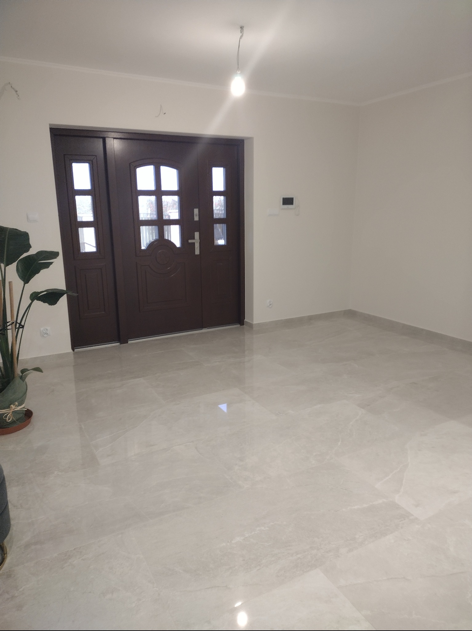 Jasne, przestronne wnętrze z marmurową podłogą, brązowymi drzwiami wejściowymi z przeszkleniami i rośliną doniczkową w lewym dolnym rogu.