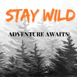 Stylizowana grafika z motywem lasu iglastego, napisy 'STAY WILD' w pomarańczowym kolorze i 'ADVENTURE AWAITS' w czerni.