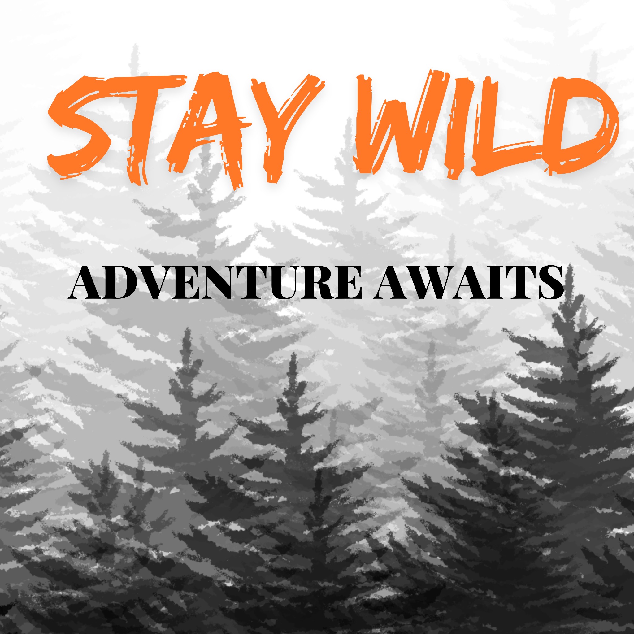 Stylizowana grafika z motywem lasu iglastego, napisy 'STAY WILD' w pomarańczowym kolorze i 'ADVENTURE AWAITS' w czerni.
