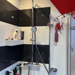 Nowoczesna kabina prysznicowa z chromowaną armaturą, czarno-białymi płytkami i półkami z kosmetykami. Widoczne akcesoria łazienkowe i czerwony sufit.