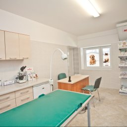 Weterynarz Boguchwała 2